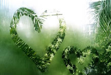 天涯社区扒王一博赵丽颖猛料大揭秘！