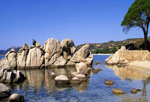 重庆天涯论坛征婚交友：你的姻缘在这里等你！